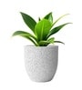 Marble White German Polymer Round Planter Pcup 15 Inch