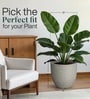 Victoria Grey German Polymer Round Planter Pcup 15 Inch