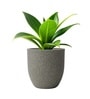Victoria Grey German Polymer Round Planter Pcup 15 Inch