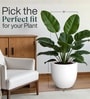 White German Polymer Round Planter Pcup 15 Inch