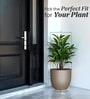 Choco Brown German Polymer Round Planter Pcup 17 Inch