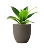 Choco Brown German Polymer Round Planter Pcup 17 Inch