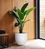 Marble White German Polymer Round Planter Pcup 17 Inch