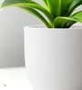 White German Polymer Round Planter Pcup 17 Inch