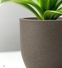 Choco Brown German Polymer Round Planter Pcup 20 Inch