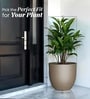 Choco Brown German Polymer Round Planter Pcup 20 Inch