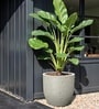 Victoria Grey German Polymer Round Planter Pcup 20 Inch