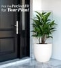 White German Polymer Round Planter Pcup 20 Inch