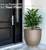 Choco Brown German Polymer Round Planter Pcup 24 Inch