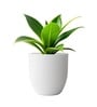 White German Polymer Round Planter Pcup 24 Inch