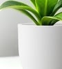 White German Polymer Round Planter Pcup 24 Inch