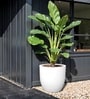 White German Polymer Round Planter Pcup 24 Inch