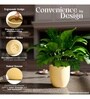 Beige German Polymer Round Planter Pcup 6 Inch