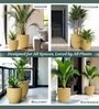 Beige German Polymer Round Planter Pcup 6 Inch
