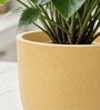Beige German Polymer Round Planter Pcup 6 Inch