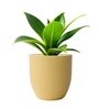 Beige German Polymer Round Planter Pcup 6 Inch