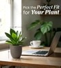Choco Brown German Polymer Round Planter Pcup 6 Inch