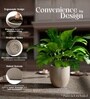 Choco Brown German Polymer Round Planter Pcup 6 Inch
