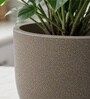 Choco Brown German Polymer Round Planter Pcup 6 Inch