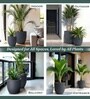 Grey German Polymer Round Planter Pcup 6 Inch