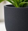 Grey German Polymer Round Planter Pcup 6 Inch