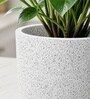 Marble White German Polymer Round Planter Pcup 6 Inch