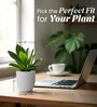 Marble White German Polymer Round Planter Pcup 6 Inch