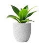 Marble White German Polymer Round Planter Pcup 6 Inch