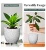 Marble White German Polymer Round Planter Pcup 6 Inch