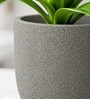 Victoria Grey German Polymer Round Planter Pcup 6 Inch