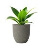 Victoria Grey German Polymer Round Planter Pcup 6 Inch