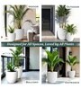 White German Polymer Round Planter Pcup 6 Inch