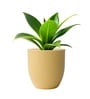 Beige German Polymer Round Planter Pcup 8 Inch