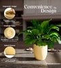 Beige German Polymer Round Planter Pcup 8 Inch