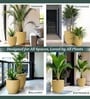 Beige German Polymer Round Planter Pcup 8 Inch