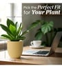 Beige German Polymer Round Planter Pcup 8 Inch