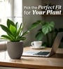 Choco Brown German Polymer Round Planter Pcup 8 Inch