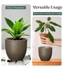 Choco Brown German Polymer Round Planter Pcup 8 Inch