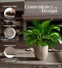 Choco Brown German Polymer Round Planter Pcup 8 Inch