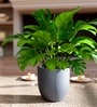 Grey German Polymer Round Planter Pcup 8 Inch