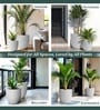 Marble White German Polymer Round Planter Pcup 8 Inch