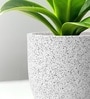 Marble White German Polymer Round Planter Pcup 8 Inch