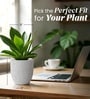 Marble White German Polymer Round Planter Pcup 8 Inch