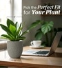 Victoria Grey German Polymer Round Planter Pcup 8 Inch