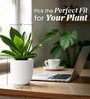 White German Polymer Round Planter Pcup 8 Inch