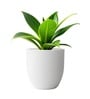 White German Polymer Round Planter Pcup 8 Inch