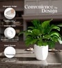 White German Polymer Round Planter Pcup 8 Inch