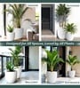 White German Polymer Round Planter Pcup 8 Inch