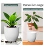 White German Polymer Round Planter Pcup 8 Inch