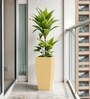Beige German Polymer Tall Square Planter Tk 18 Inch
